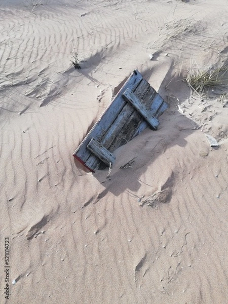 Obraz OLYMPUS DIGITAL CAMERA