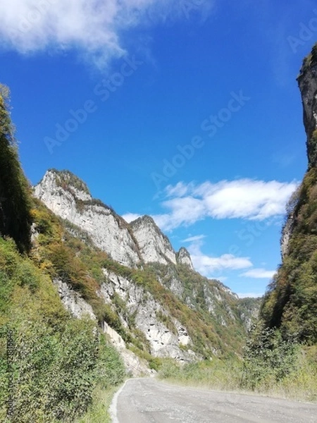 Obraz OLYMPUS DIGITAL CAMERA