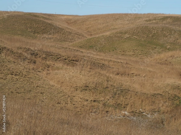 Obraz OLYMPUS DIGITAL CAMERA