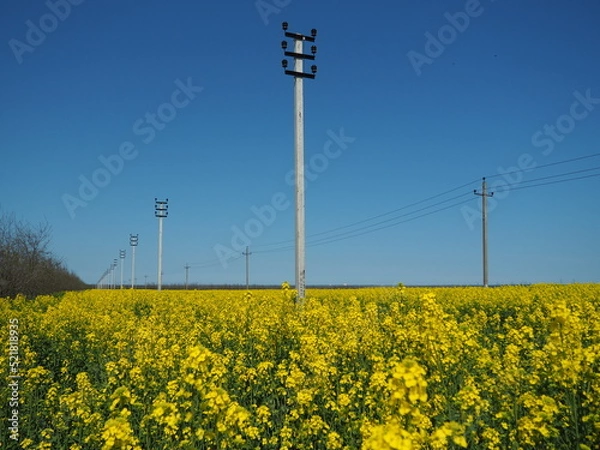 Obraz OLYMPUS DIGITAL CAMERA