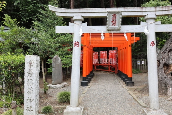 Obraz 常盤稲荷神社の鳥居