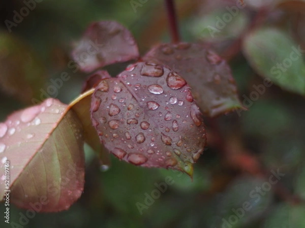 Obraz OLYMPUS DIGITAL CAMERA