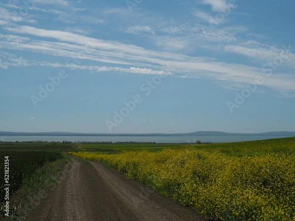 Obraz OLYMPUS DIGITAL CAMERA