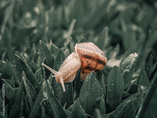 Obraz OLYMPUS DIGITAL CAMERA