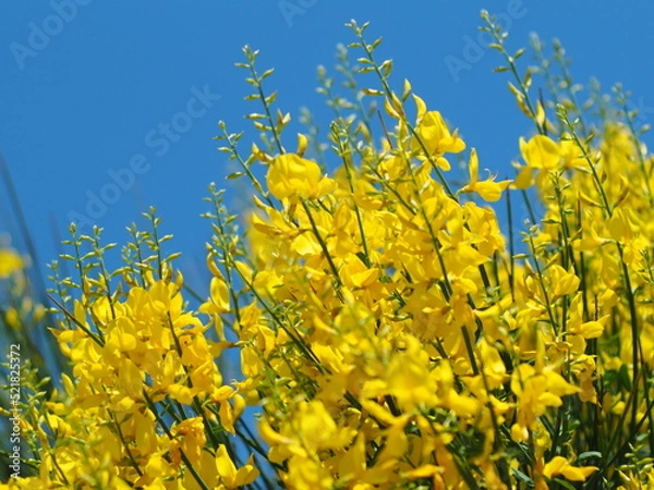 Obraz OLYMPUS DIGITAL CAMERA