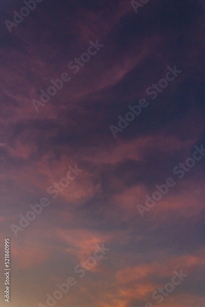 Obraz purple sunset sky