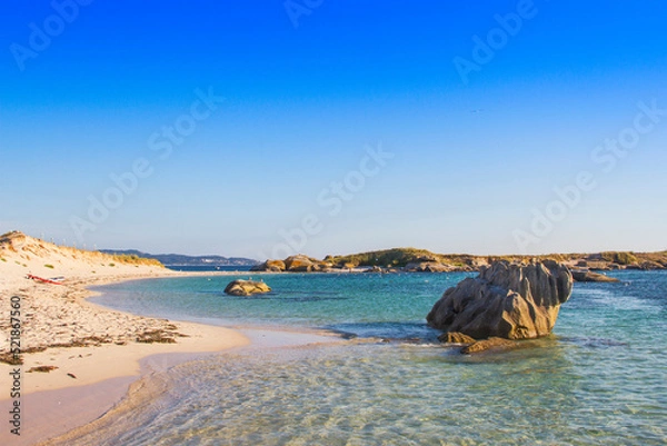 Obraz Mammoth molar rock