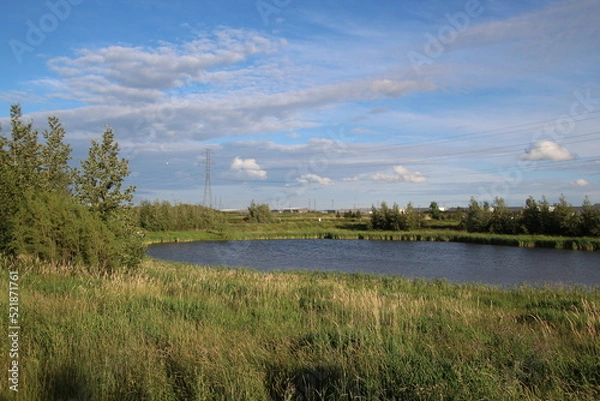 Fototapeta Summer Evening On The Lake, Pylypow Wetlands, Edmonton, Alberta
