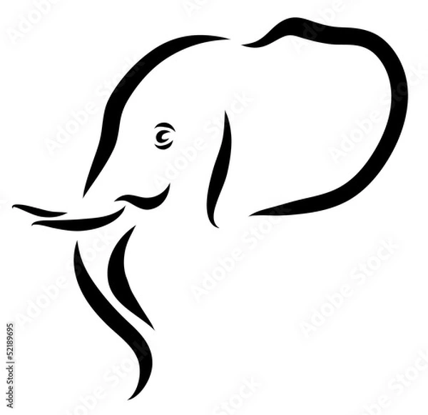 Fototapeta Elephant Head