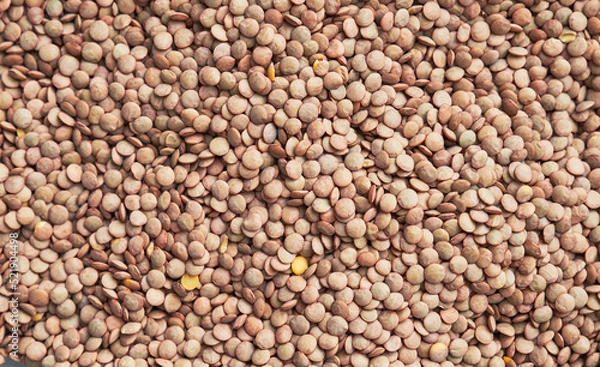 Obraz Beautiful lentils image