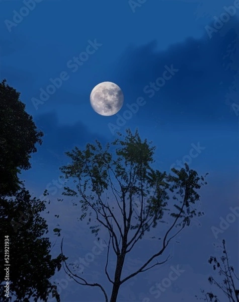 Fototapeta moon and clouds