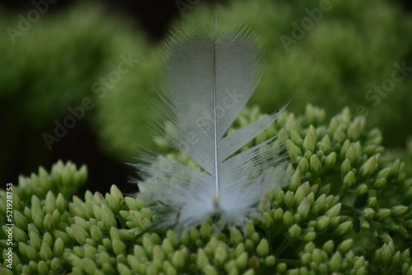 Obraz невесомость