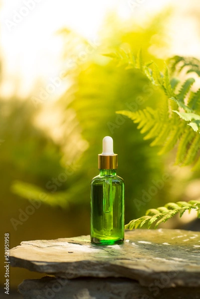 Obraz cosmetic products green glass bottles with oil on the roots of the tree against the background with fern. eco-friendly natural product