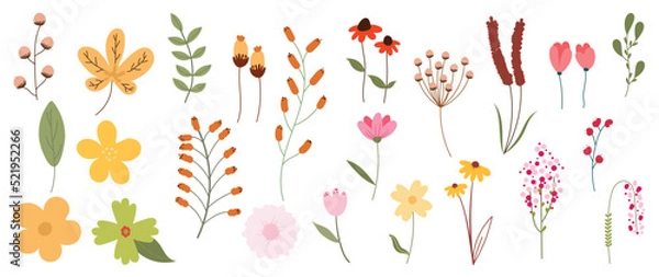 Fototapeta Collection of floral elements in flat color. Set of spring and summer wild flowers, plants, branches, leaves and herb. Hand drawn of blossom vectors for decor, website, graphic and shop.