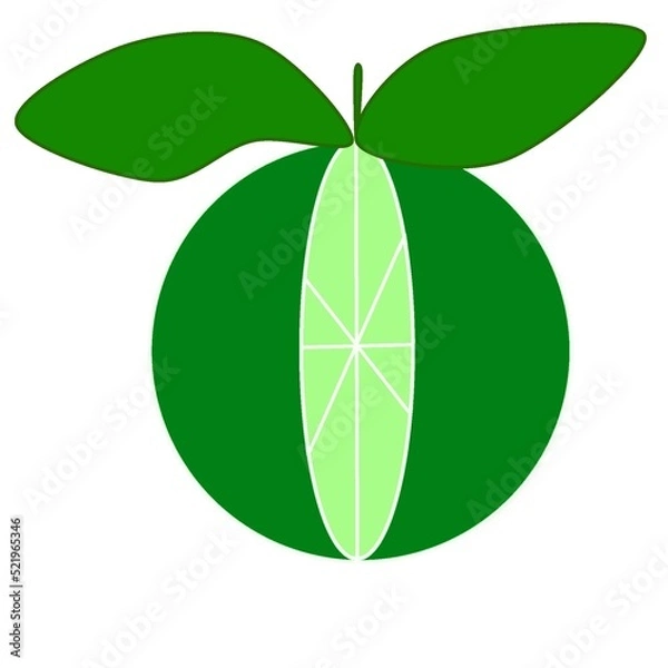 Fototapeta leaf isolated