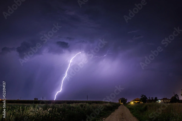 Obraz lightning in the field