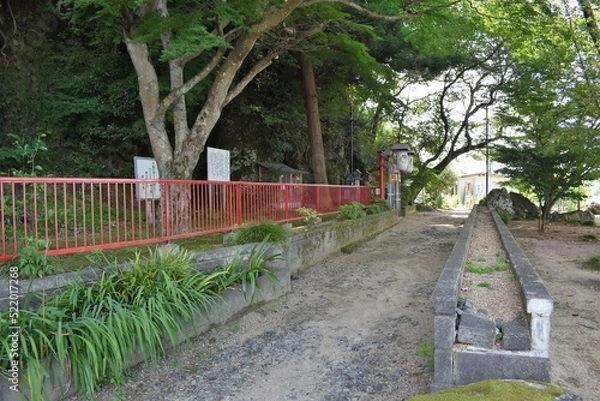 Fototapeta 琵琶湖、びわ湖、青空、夏空、神社、参道