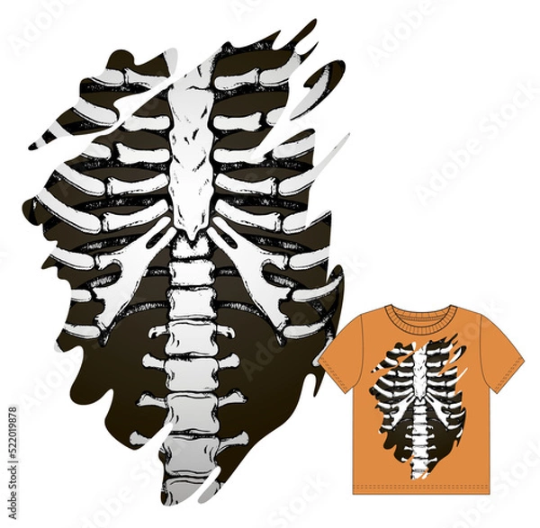 Obraz Torn hole with skeleton inside. Print for t shirt. Halloween vector illustration.