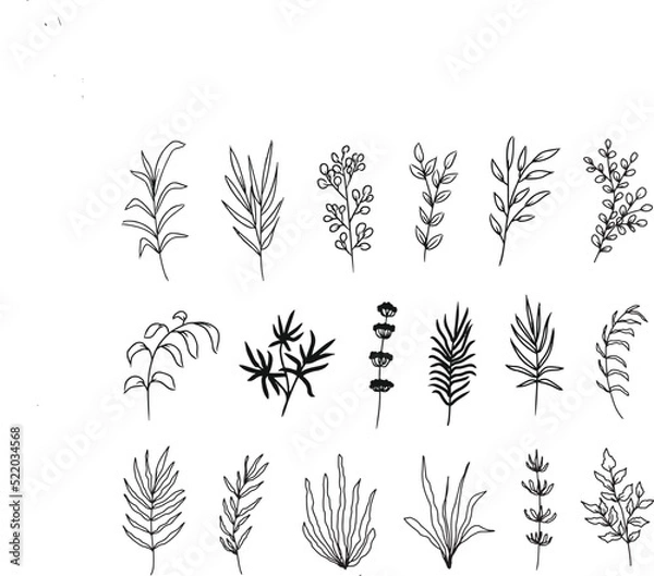 Fototapeta a set of cute hand drawn leaf  line art