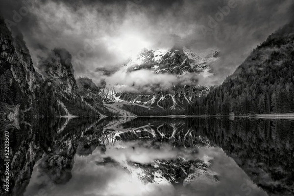 Obraz landscape with fog