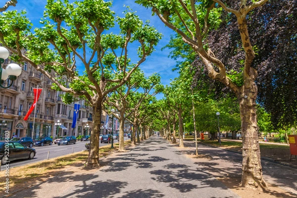 Fototapeta Lovely view of the Wilhelmstraße, a famous urban boulevard in Wiesbaden, state capital of Hesse, Germany. Opposite of the street are upmarket stores and shopping arcades.