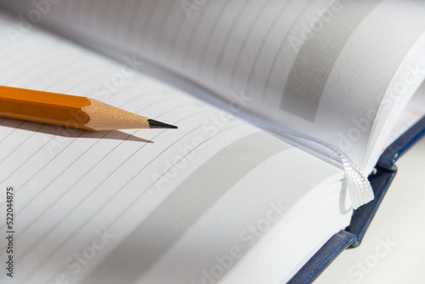 Obraz The pencil is on the open diary