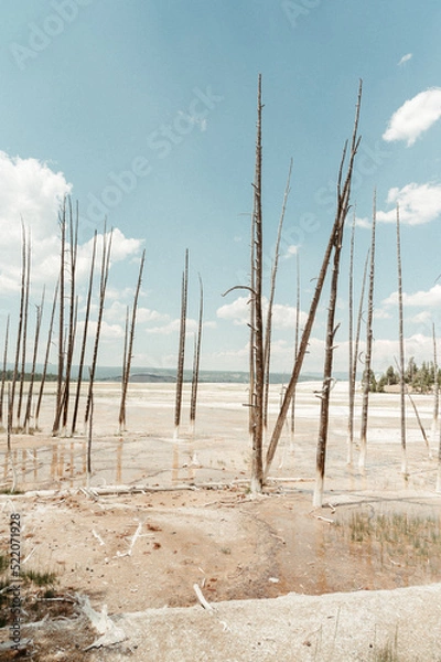 Obraz Trees at Fountain Paint Pots