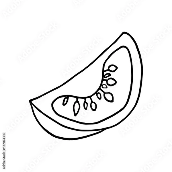 Fototapeta tomato in doodle style