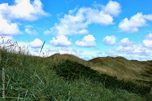 Obraz Dänemark an der Nordsee mit Strand, Dünen und Landschaft