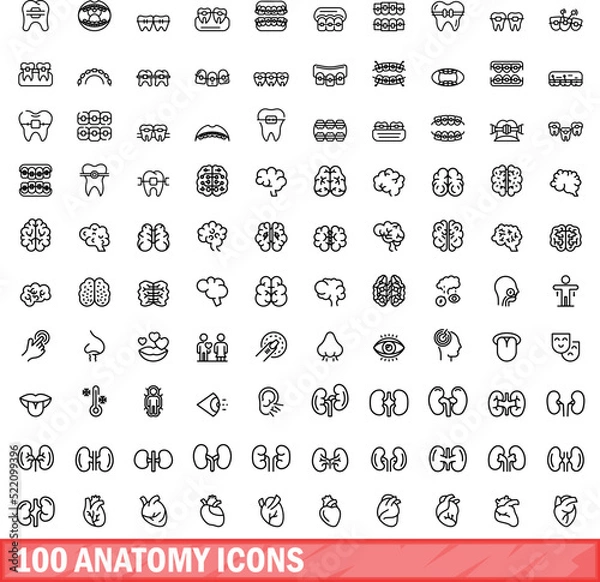 Fototapeta 100 anatomy icons set. Outline illustration of 100 anatomy icons vector set isolated on white background