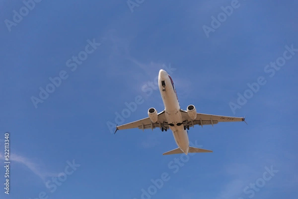 Obraz airplane in flight