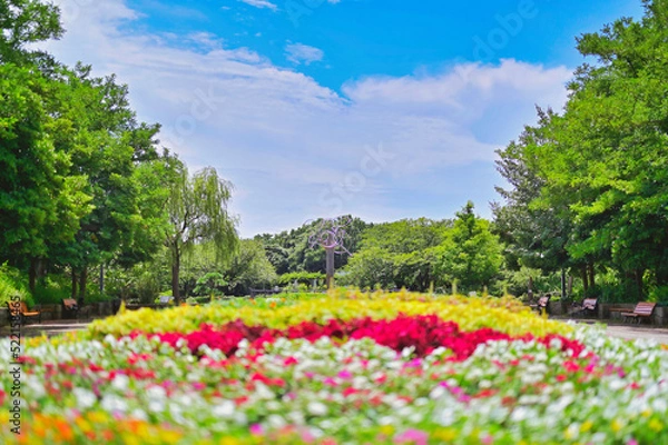 Obraz 真夏の空と花壇