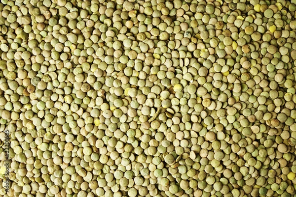 Obraz screensaver in the background with lentil grains close-up