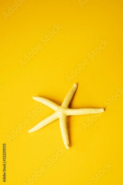 Fototapeta Starfish on a yellow background. - Summer concept.