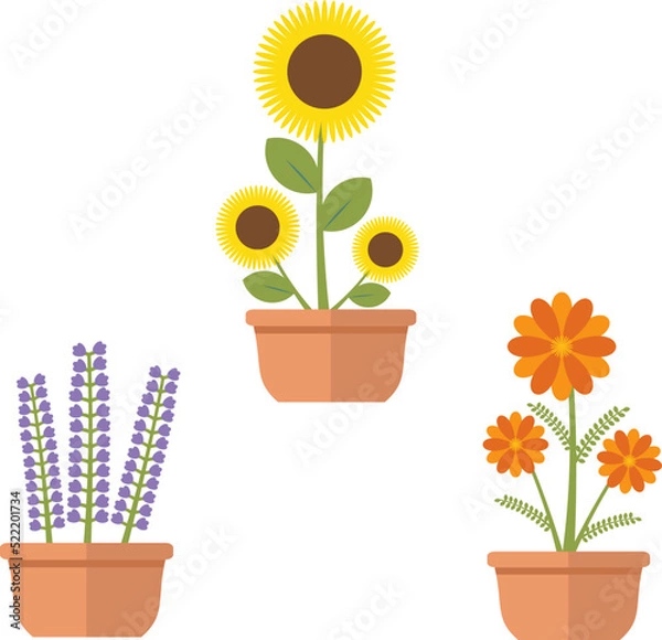 Fototapeta Set of home plants. Illustration in doodle style. For banner, card, greeting. Editable vector EPS8.