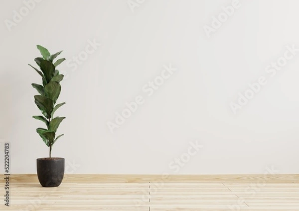 Obraz Empty room white walls with beautiful plants sideways on the floor.3d rendering.
