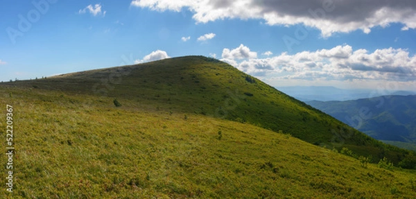 Obraz mountainous countryside nature scenery in summer. beautiful views of carpathian landscape on a sunny afternoon