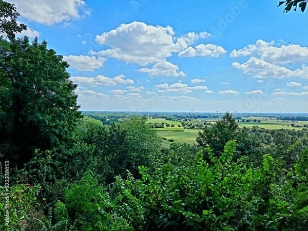 Obraz landscape with trees