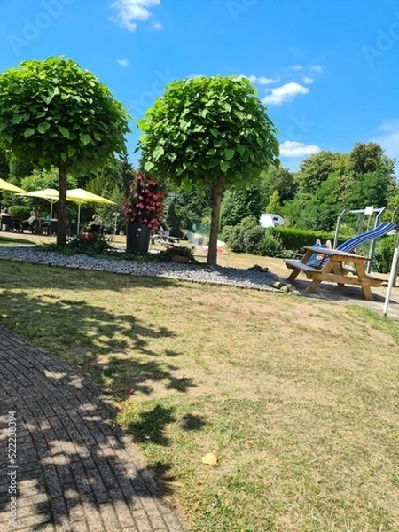 Obraz trees in the park