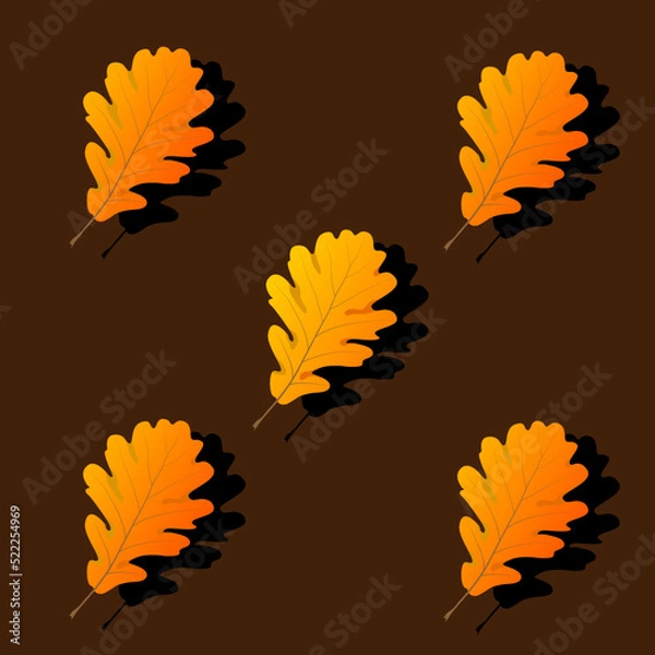Obraz Oak leaves on a dark background with shadow