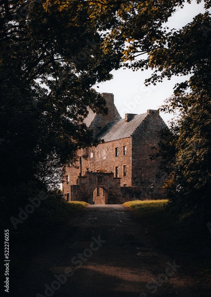 Fototapeta House through the trees