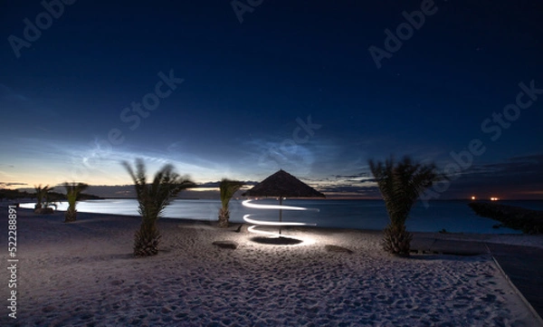 Obraz Night sky palm beach