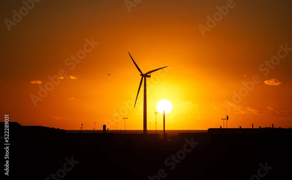 Obraz wind turbines at sunset