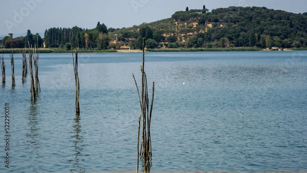 Obraz OLYMPUS DIGITAL CAMERA