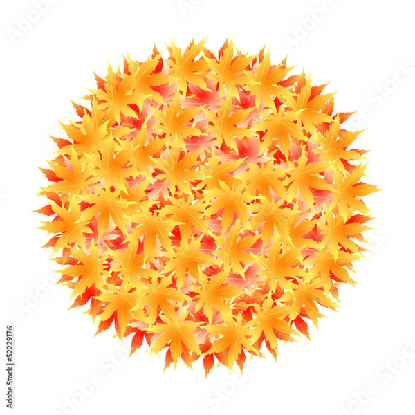 Obraz 紅葉　秋　もみじ