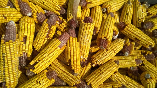 Fototapeta Damaged Goods