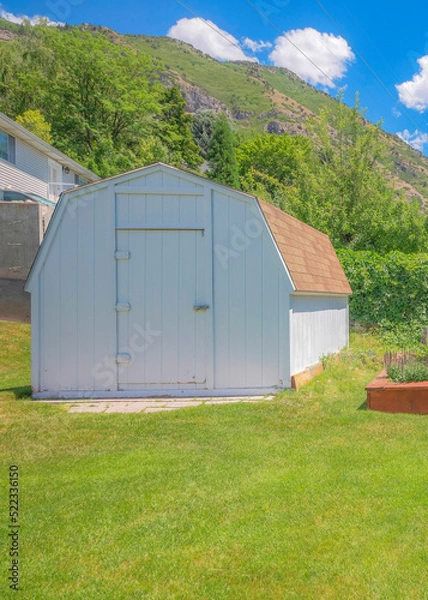 Fototapeta Vertical White puffy clouds Small white barn shed on the yard with lavender on the raised bed gardens