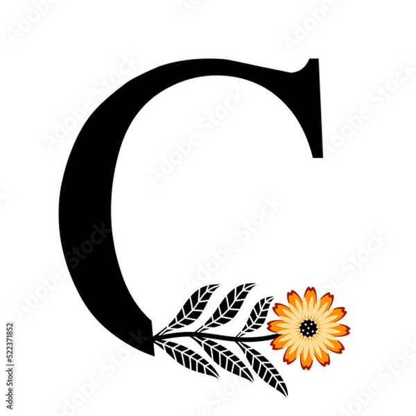 Fototapeta Floral Letter C