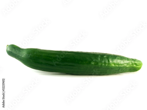 Obraz Cucumber isolated on white background