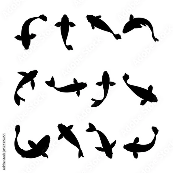 Obraz Koi Fish Silhouette